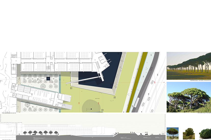 Nova School of Economics - Campus Carcavelos