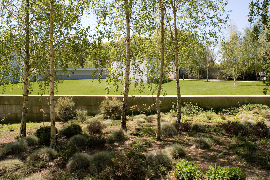 Serralves Fundation