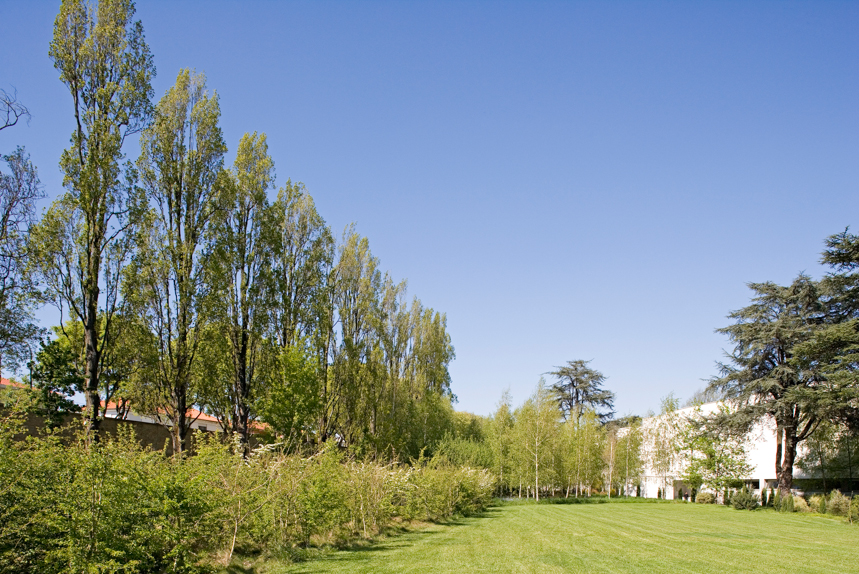 Serralves Fundation