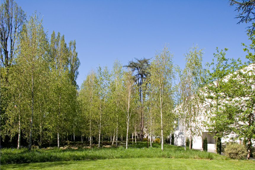 Serralves Fundation