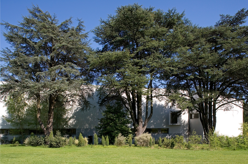 Serralves Fundation