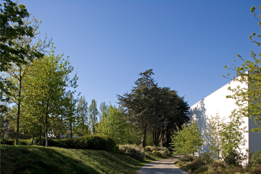 Serralves Fundation