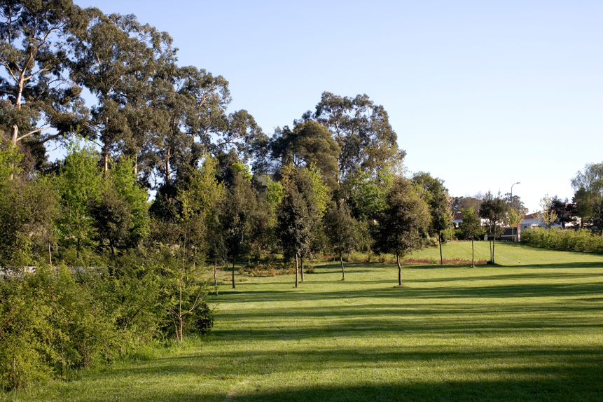 Serralves Fundation