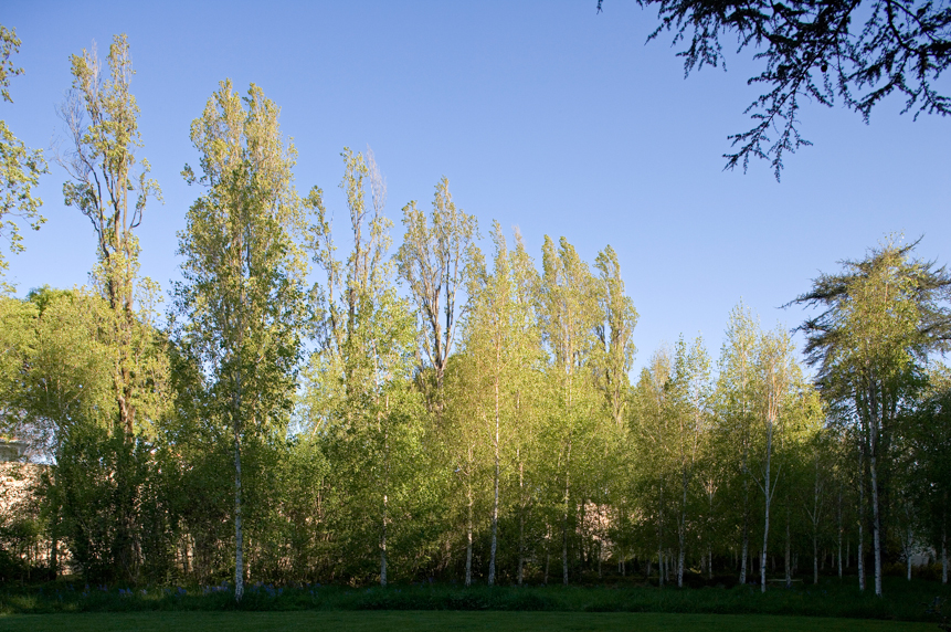 Serralves Fundation