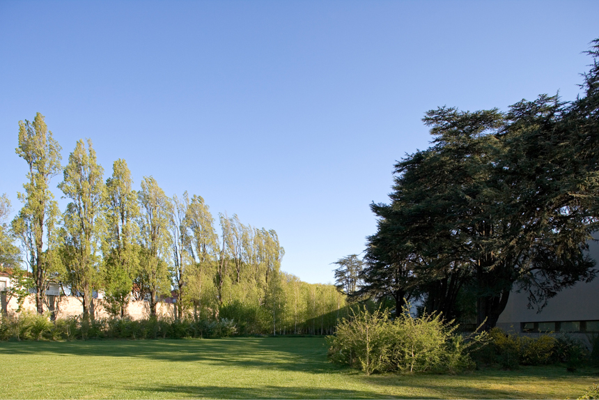 Serralves Fundation