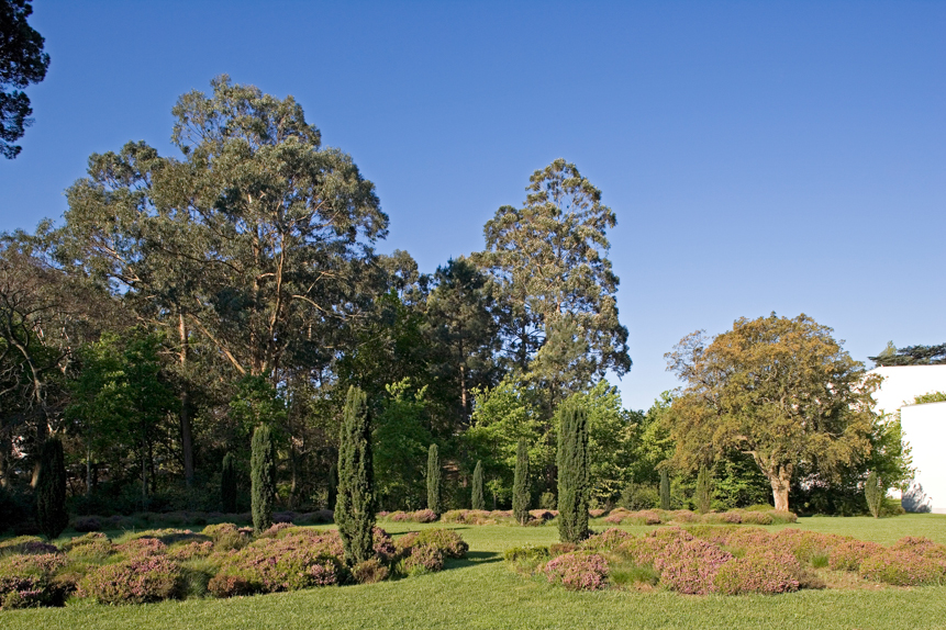 Serralves Fundation