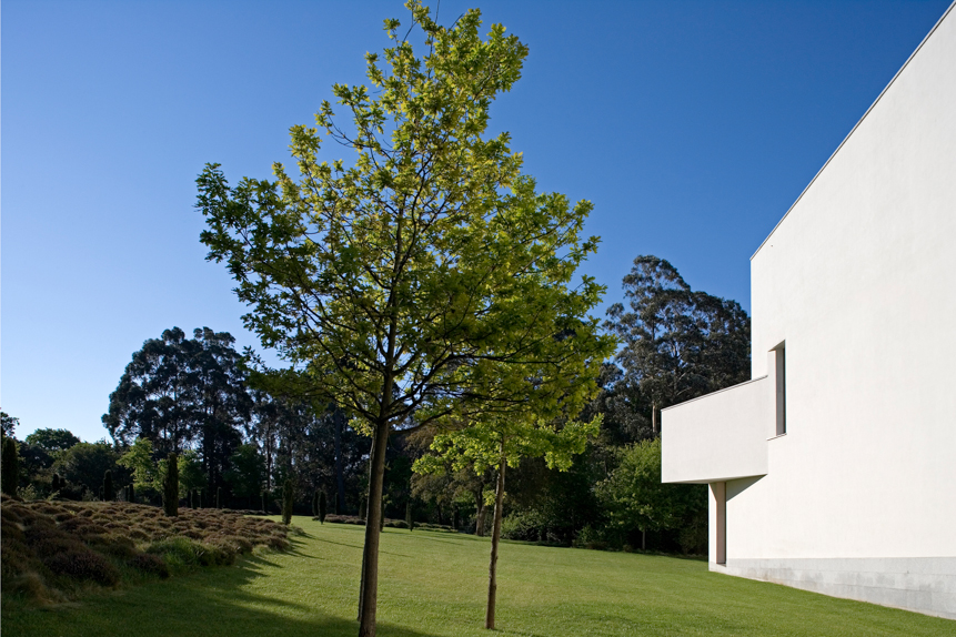 Serralves Fundation