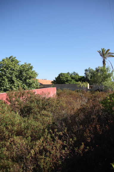 Brejo Redondo House
