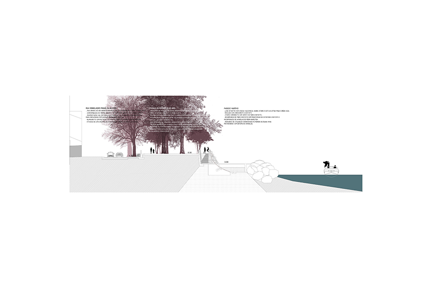Horta's Waterfront