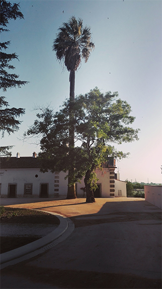 Quinta da Alorna
