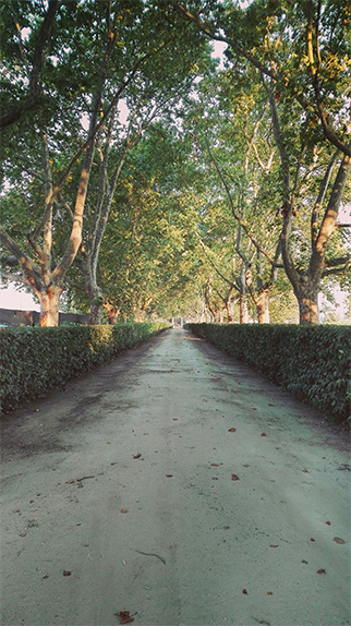 Quinta da Alorna
