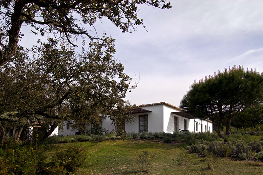 Picão House