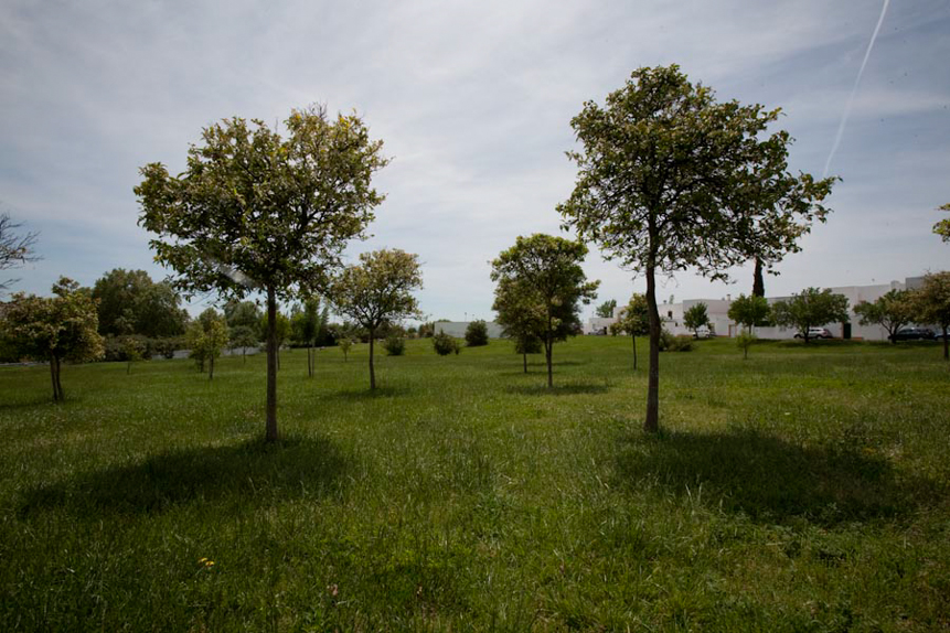 Bairro da Malagueira